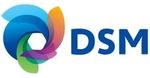 Logo for DSM Engineering Plastics
