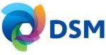 Logo for DSM Engineering Plastics